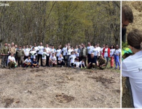 “Planting the Future” – TSD’s 2022 Afforestation Initiative