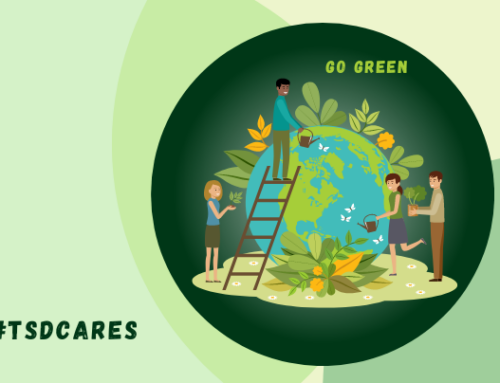 The TSD Green Codex – Our Environment-Focused Corporate Social Responsibility